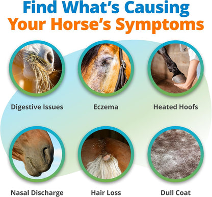 5Strands Comprehensive Equine Health Assessment for All Horse Breeds & Ages