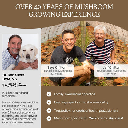 Real Mushrooms Lions Mane for Humans (60 Servings) and Pets (120ct) - Powder & Capsules Bundle for Cognition & Immunity - Vegan, Non-GMO, Gluten-Free, Grain-Free Mushroom Extract Supplements