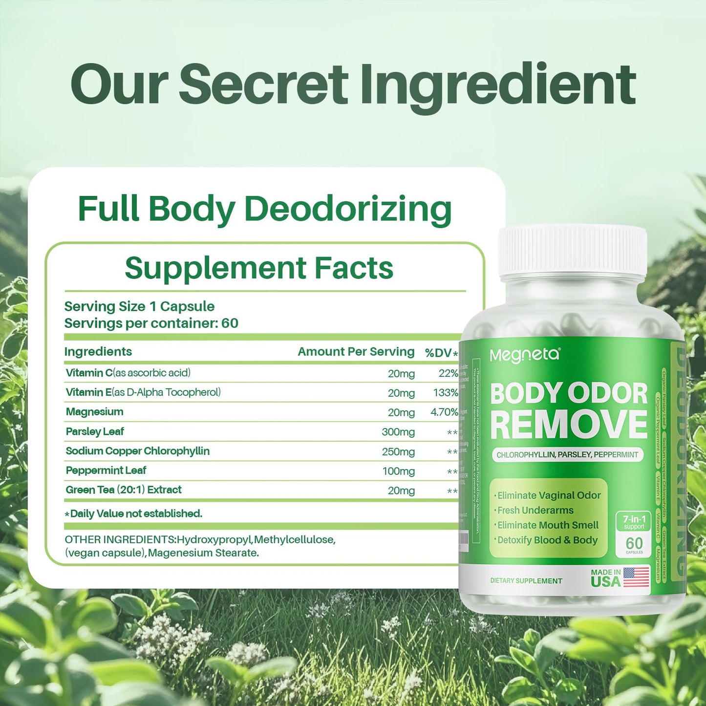 MEGNETA Body Deodorizing Supplement, Natural Internal Odor Control Pills for Men & Women, Chlorophyll Capsules for Skin, Breath and Gut Health (60 Capsules)