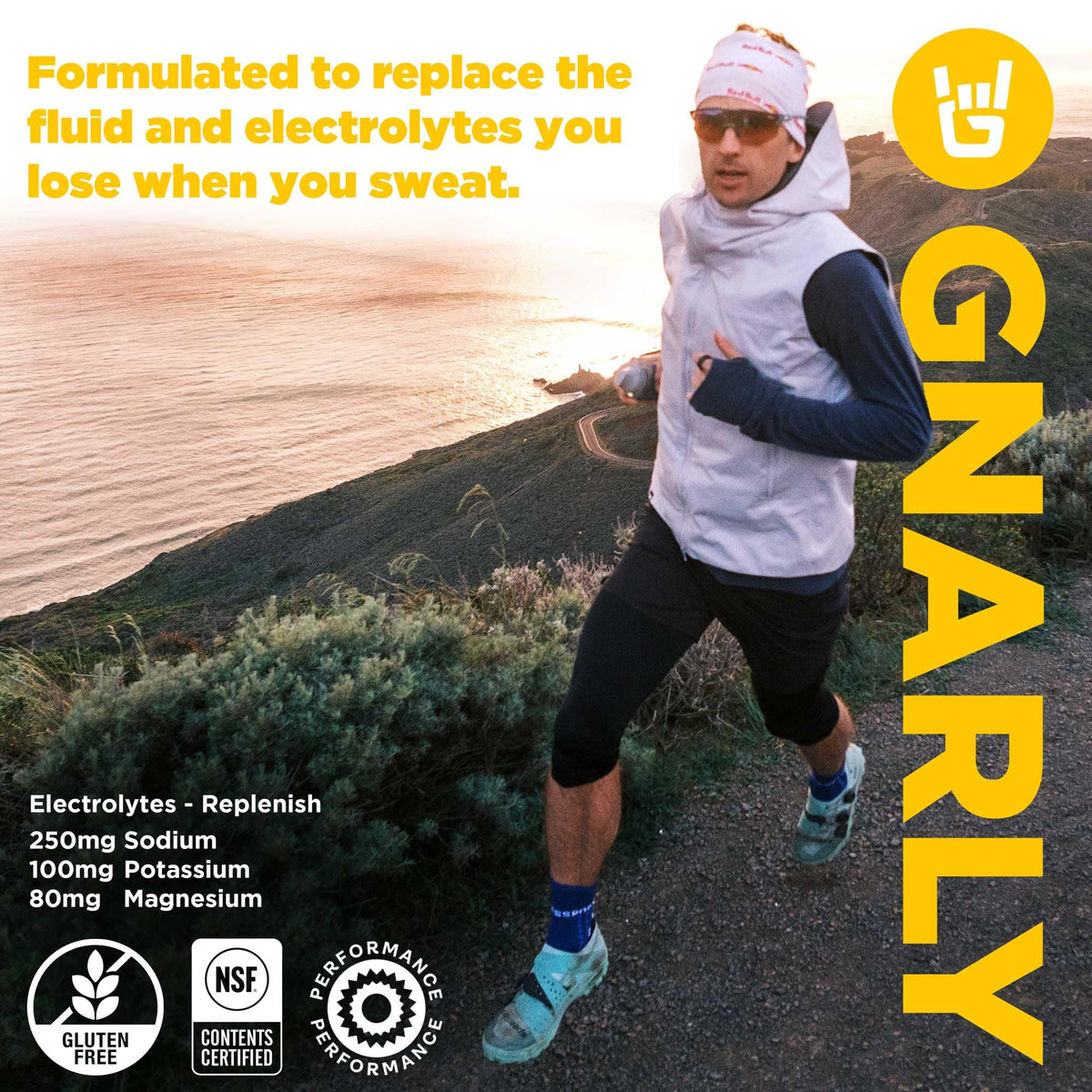 Gnarly Nutrition Hydrate Electrolyte Powder – Orange Pineapple Exercise Hydration Drink Mix – NSF Sport Certified – Electrolyte Solution, Performance & Recovery – Orange Pineapple, 14.10 oz