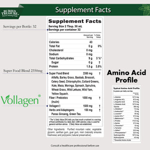 Buried Treasure Green20 Fusion – Superfood Blend with Vollagen for Skin, Hair, and Joint Support, Plant-Based, Vegan, Non-GMO Gluten-Free, Dairy-Free, Soy-Free, 32oz Liquid Buried TreasureBuy Supplements Australia