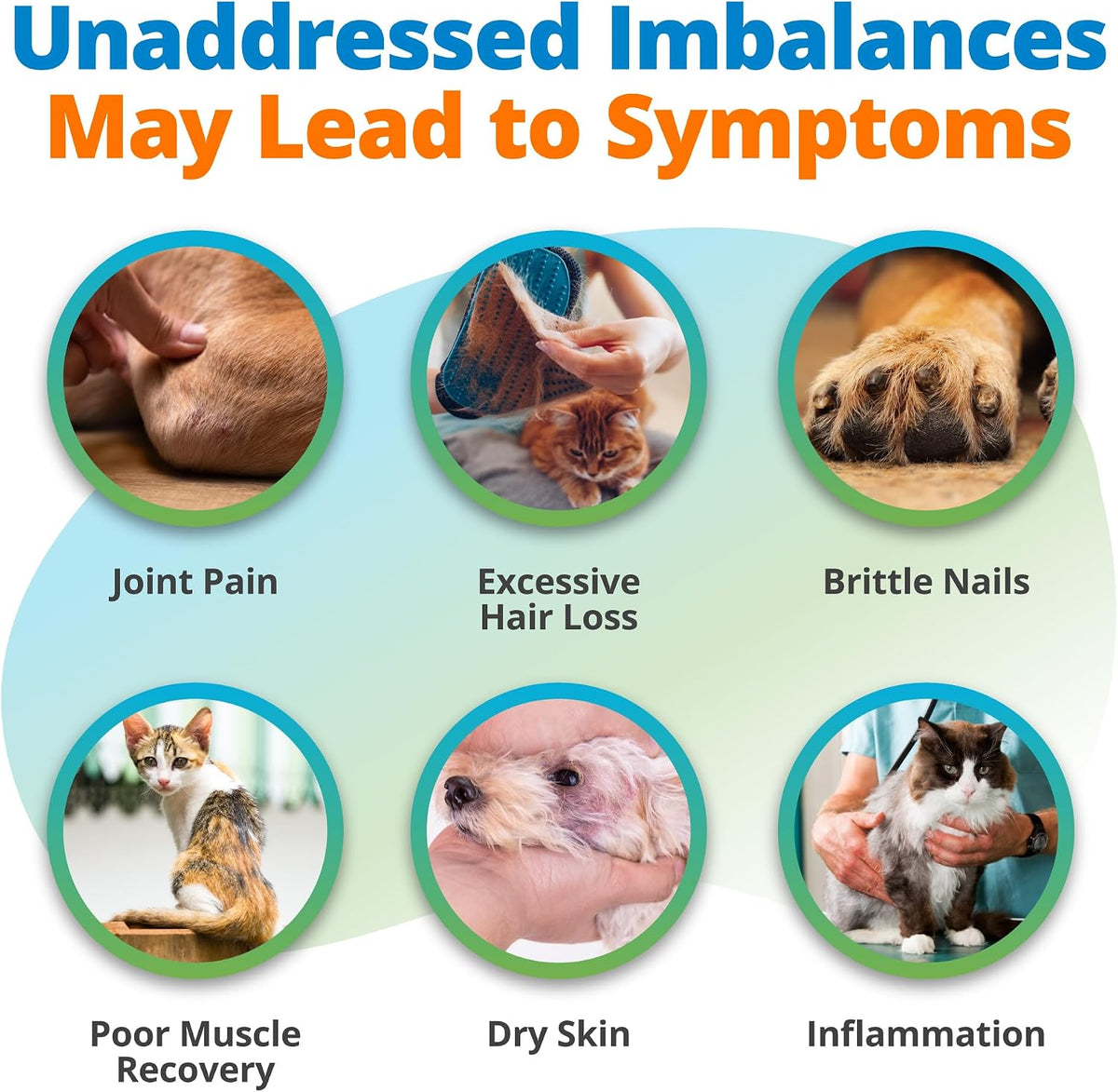 5Strands Pet Nutritional Imbalance & Food Intolerance & Environmental Sensitivity Test, At Home Hair Analysis for Dogs & Cats, Identify Nutrient Gaps & Dietary Stressors, Results in 4 Days