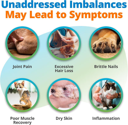 5Strands Pet Nutritional Imbalance & Food Intolerance & Environmental Sensitivity Test, At Home Hair Analysis for Dogs & Cats, Identify Nutrient Gaps & Dietary Stressors, Results in 4 Days