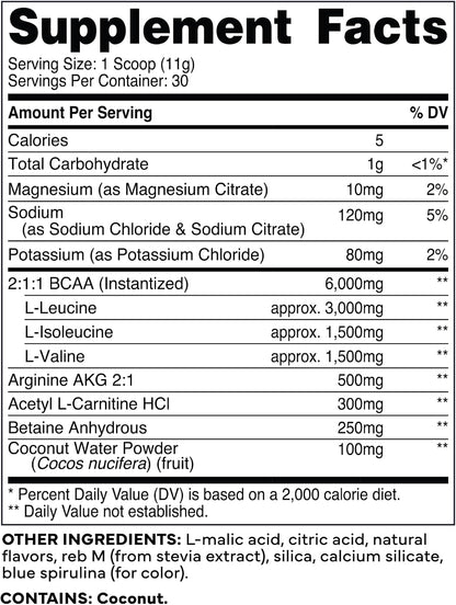 Type Zero Ultra Clean Vegan BCAA Powder + Electrolytes (Blue Raspberry) | 6g Per Serving, 2:1:1 Sugar-Free, No Sucralose, BCAAs Amino Acids Supplement, After Workout Drink, 30 Servings