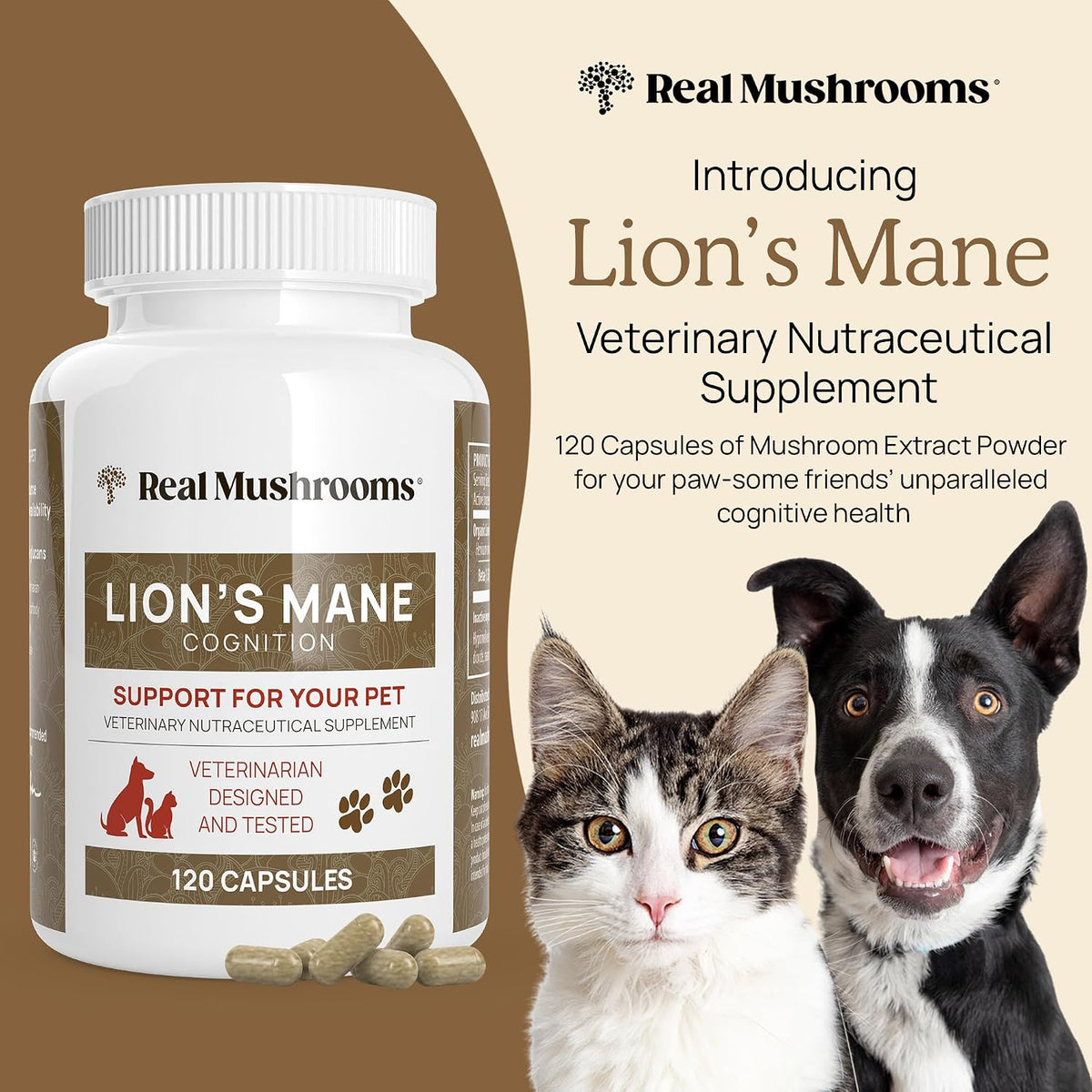 Real Mushrooms Lions Mane for Humans (60 Servings) and Pets (120ct) - Powder & Capsules Bundle for Cognition & Immunity - Vegan, Non-GMO, Gluten-Free, Grain-Free Mushroom Extract Supplements