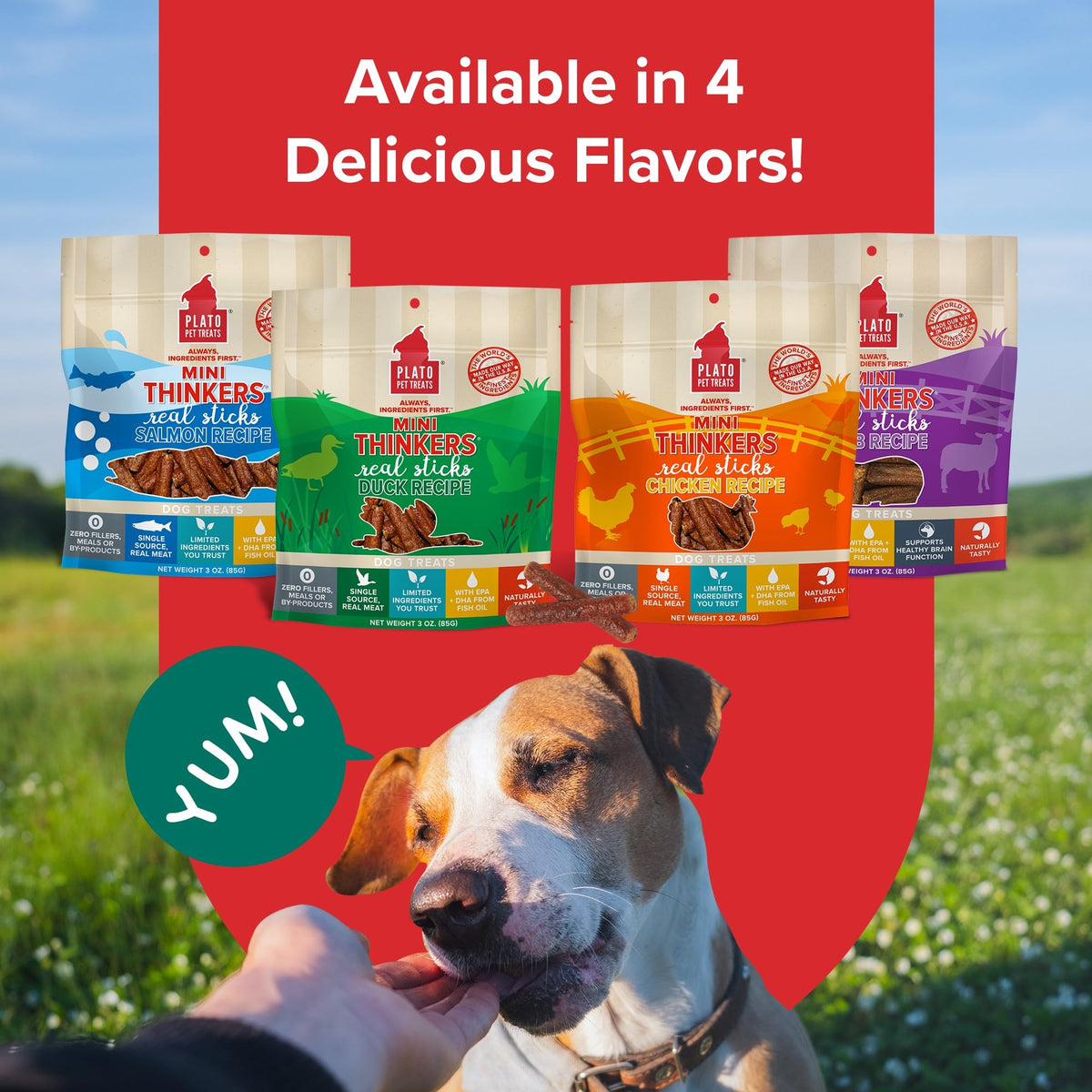 Plato Meat Sticks Salmon Dog Treats, Air-Dried High-Protein Soft Chews with Omega Fish Oil (EPA & DHA), 10 oz