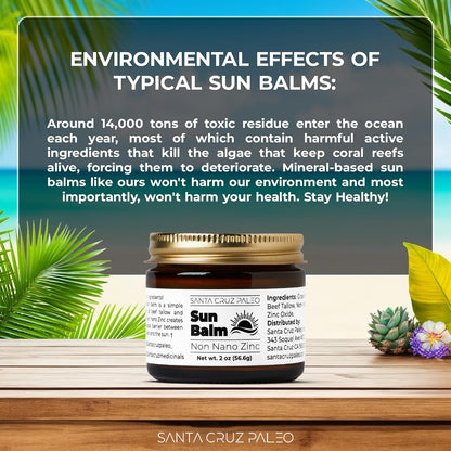 Santa Cruz Paleo, Beef Tallow Sun Balm with Non-Nano Zinc Oxide, Sunscreen Free, Unscented, Natural Mineral Sun Protection for Face & Body, Acne Safe, Moisturizer, Non Comedogenic, Organic Balm, 2 Oz