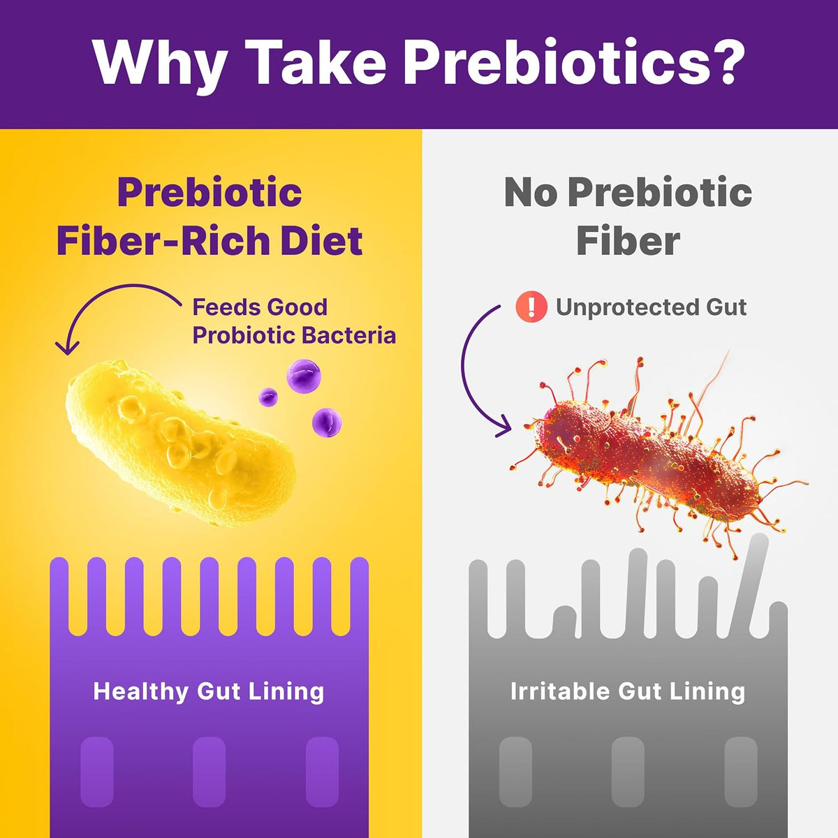 InnovixLabs Prebiotic Fiber Powder for Digestive & Gut Health, High Fiber Supplement for Women & Men, Made with Chicory Root, Acacia Fiber, Inulin & Soluble Fibers, Sugar-Free, Vegan, 30-Day Supply