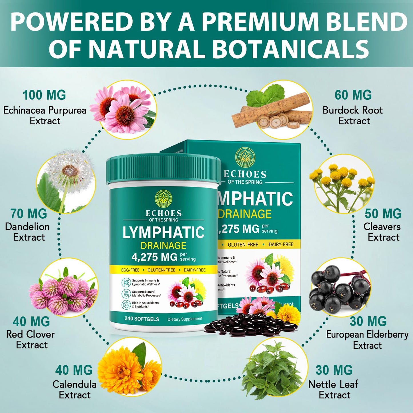 Lymphatic Drainage Supplements, 4275mg Lymph System Support Supplement for Women & Men, Daily Wellness Support, 21-in-1 Herbal Blend with Echinacea, Dandelion, Burdock, Turmeric & More, 240 Softgels Echoes of the spring buy supplements Au
