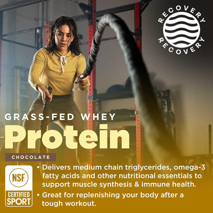 Gnarly Whey Grass-Fed Protein Supplement, Chocolate (32.0oz) and Gnarly Preworkout Strawberry Lemonade (14.82oz)