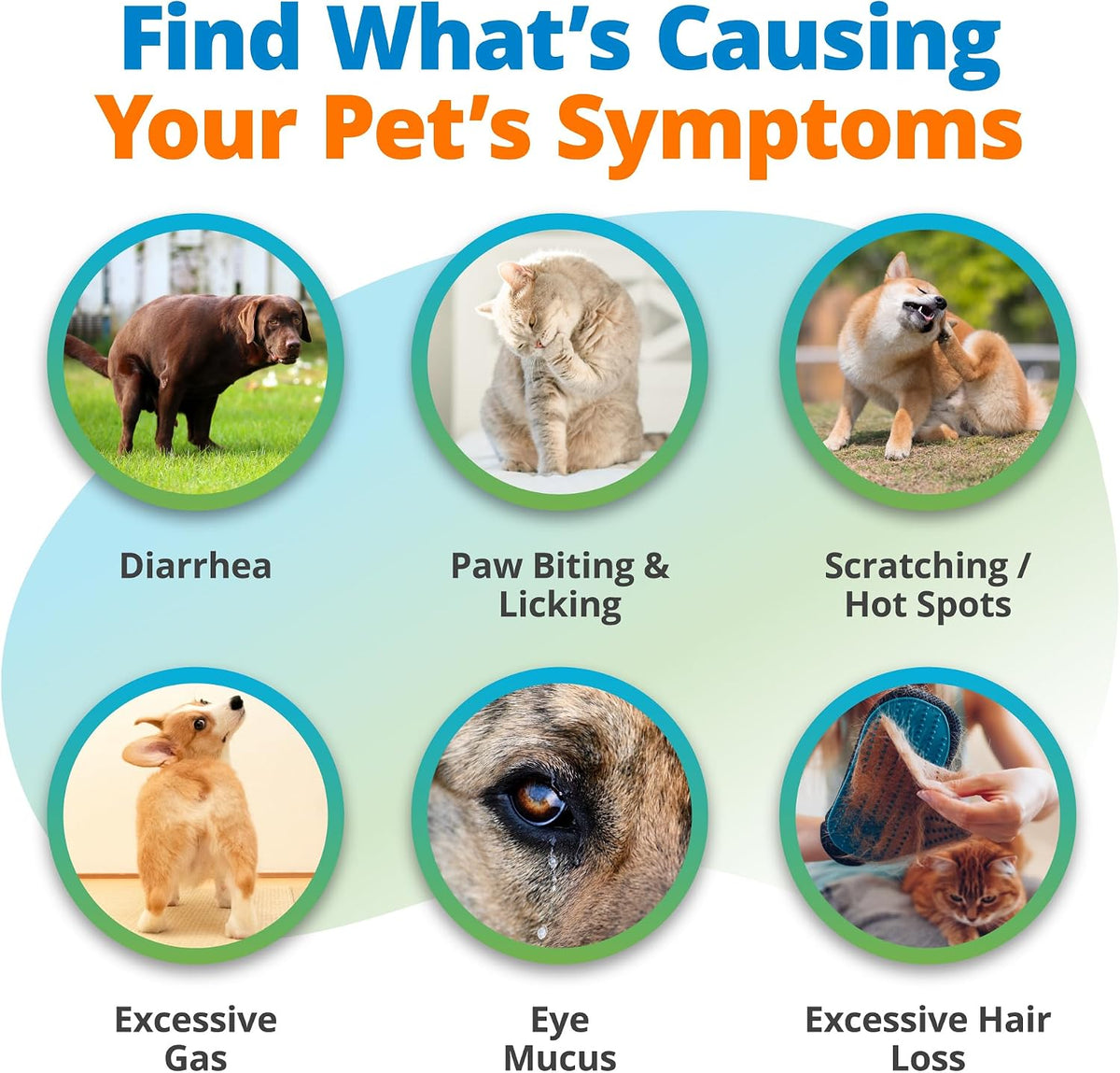 5Strands Pet Food Intolerance Test for Dogs & Cats, 825 Items Tested