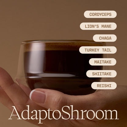 Ultra Life Sport - MushBoom Organic Mushroom Coffee Alternative Drink - 30 Servings 7 Mushroom Cacao Blend - Cordyceps, Lion’s Mane, Chaga, Maitake, Shiitake, Reishi & Turkey Tail - Caffeine Free
