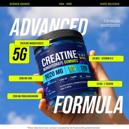 Thinbi Creatine Gummies for Women & Men, Monohydrate, Blueberry, 120 Count