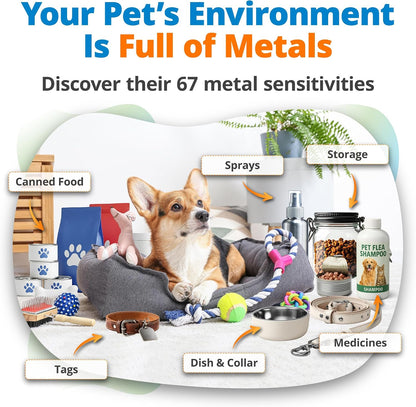 5Strands Pet Heavy Metal Sensitivity Test, Health Check for Dogs & Cats