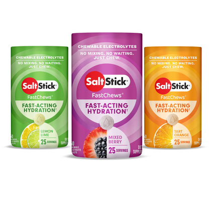 SaltStick Electrolyte FastChews Best Sellers Variety Pack - 90 Tablets