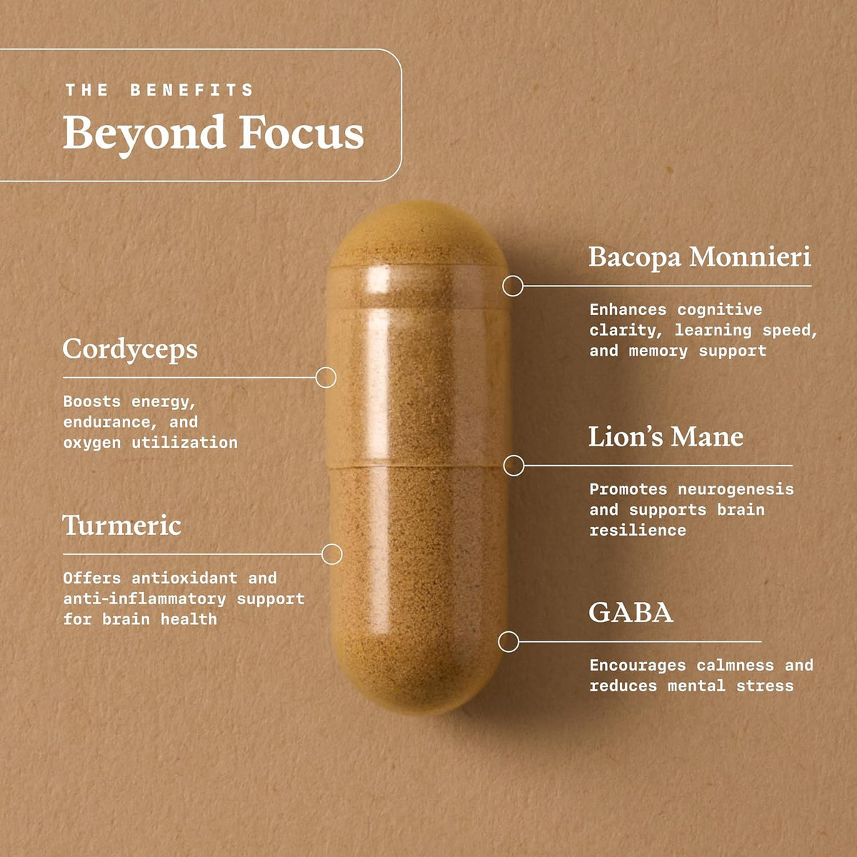 Ultra Life Sport - Beyond Focus Organic Mushroom Supplement - 30 Capsule Brain Supplements for Memory and Focus - 100% Vegan, Non-GMO - Memory Booster with Bacopa, Cordyceps, & Lion’s Mane