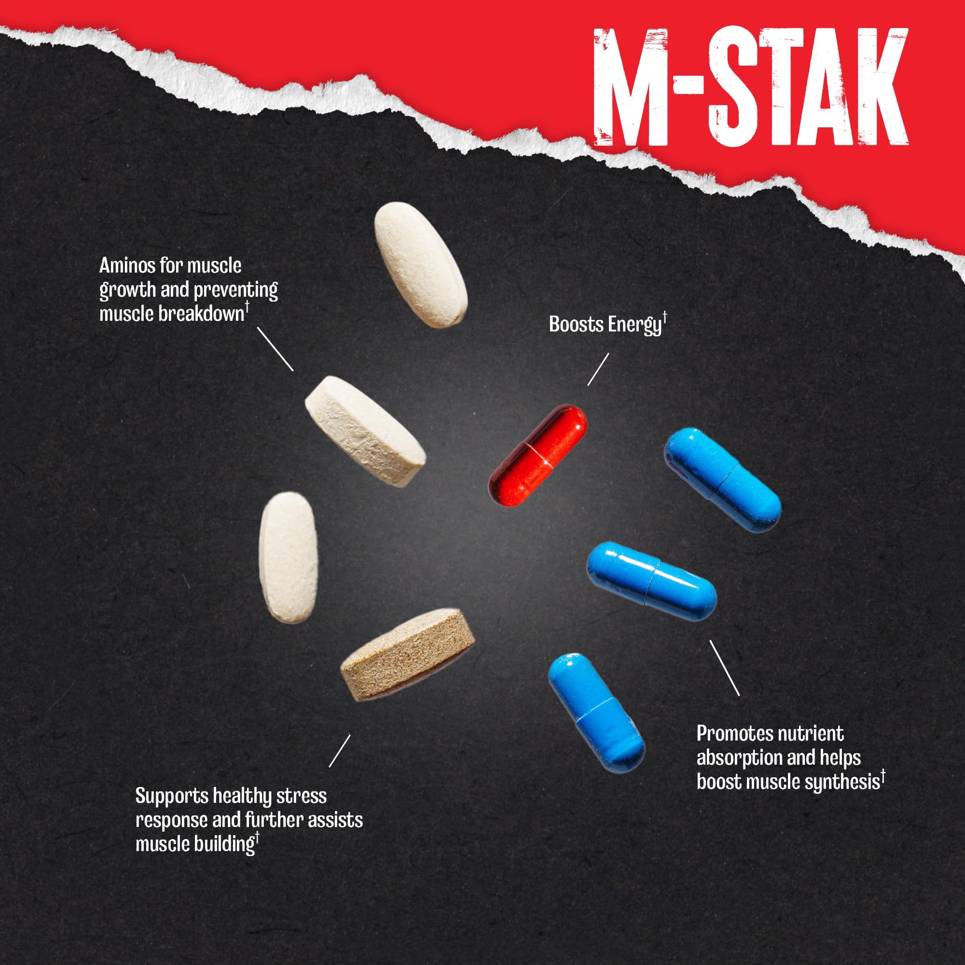 Animal M-Stak - Muscle Builder and Anabolic Mass Gainer Supplement for Bodybuilding - Lean Muscle Growth, Amino Complex and Pre Workout Energy, 21 Packs AnimalBuy Supplements Australia