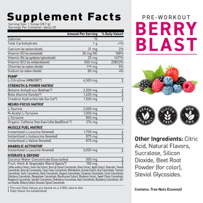 Kaged Original Pre Workout Powder | Fruit Punch | Pre-Workout with Creatine, Beta Alanine, L-Citrulline, BCAAs | 274 mg Caffeine | Pre Supplements for Men & Women | 20 Servings
