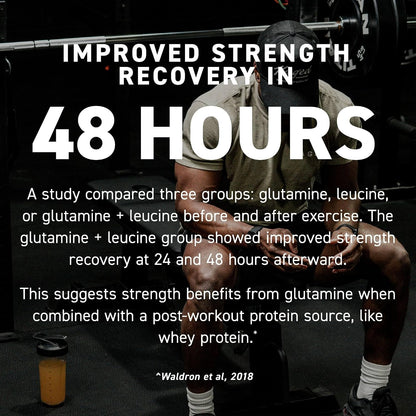 Kaged Muscle, L-Glutamine Powder 500 Gram, Vegan, Support Muscle Recovery, Post Workout, Glutamine, Banned-Substance Free, Unflavored, 100 Servings