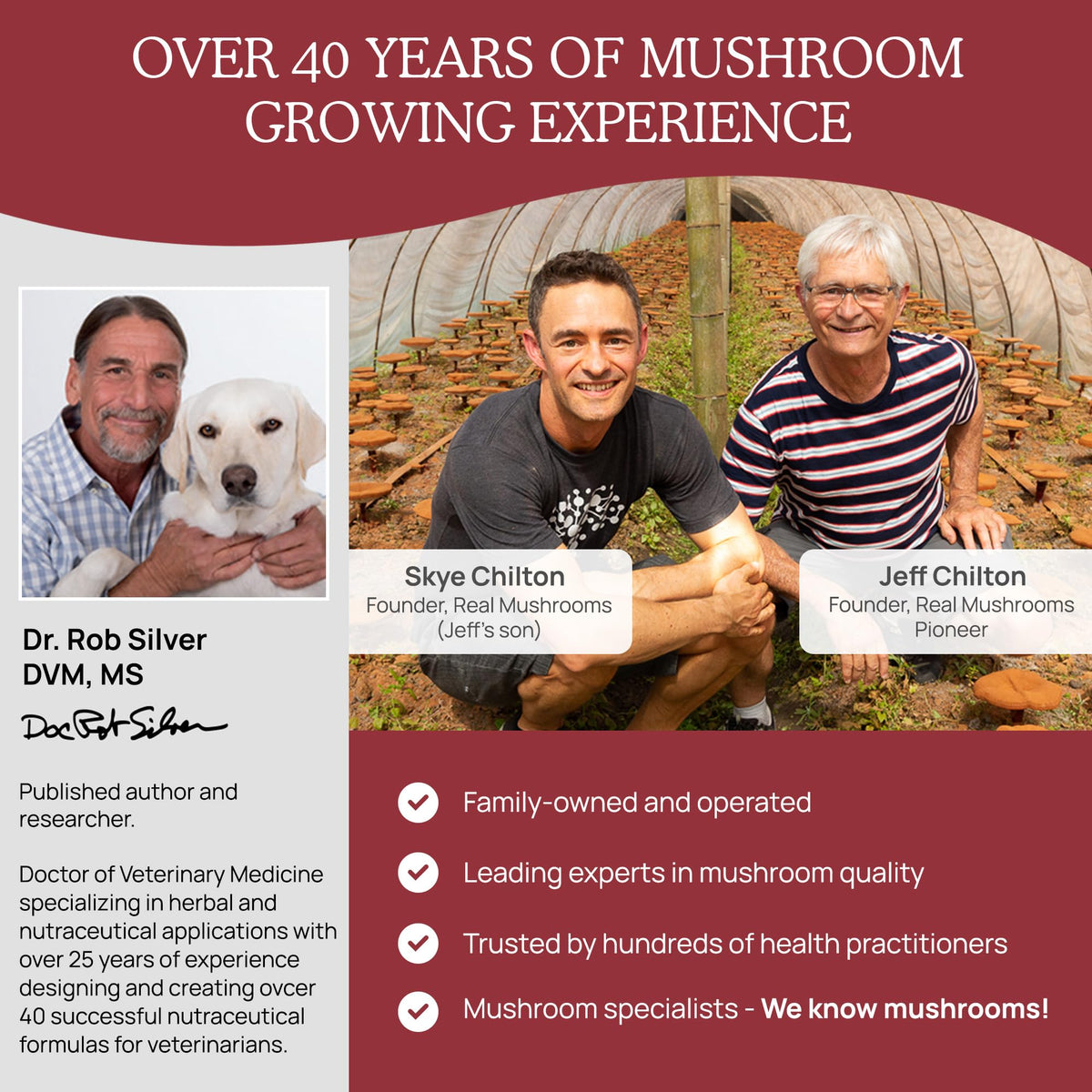 Real Mushroom Immune Pet Chews – For Daily Digestive & Immune Health – Mushrooms for Dogs & Cats Functional Treat – Mushroom Supplement for Dogs & Cats – 1 to 4 Chews For All Breeds & Sizes (60 Count)
