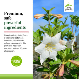 Terry Naturally Sucontral D - B-Complex & Folate Supplement - Carbohydrate Metabolism Support - Vitamin & Mineral Supplement with Zinc & Chromium - 120 Capsules (Pack of 2) Terry NaturallyBuy Supplements Australia