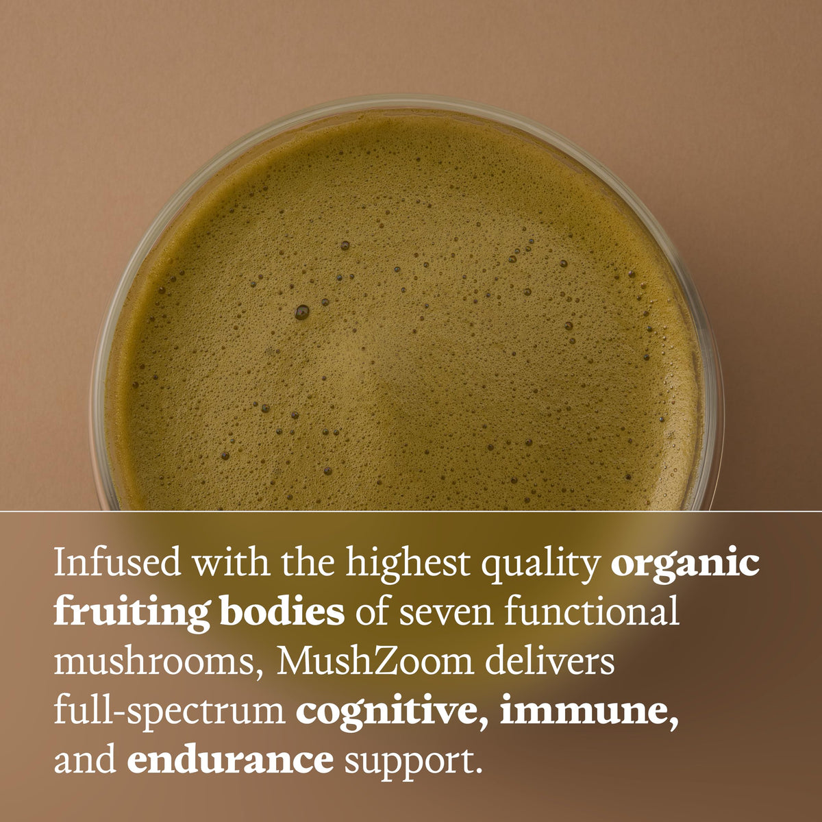 Ultra Life Sport - MushBoom Organic Mushroom Coffee Alternative Drink - 30 Servings 7 Mushroom Cacao Blend - Cordyceps, Lion’s Mane, Chaga, Maitake, Shiitake, Reishi & Turkey Tail - Caffeine Free