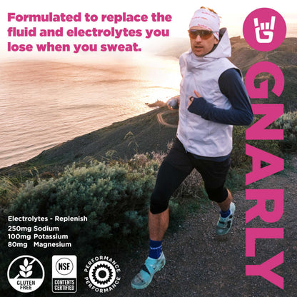 Gnarly Nutrition Hydrate Electrolyte Powder – Orange Pineapple Exercise Hydration Drink Mix – NSF Sport Certified – Electrolyte Solution, Performance & Recovery – Orange Pineapple, 14.10 oz