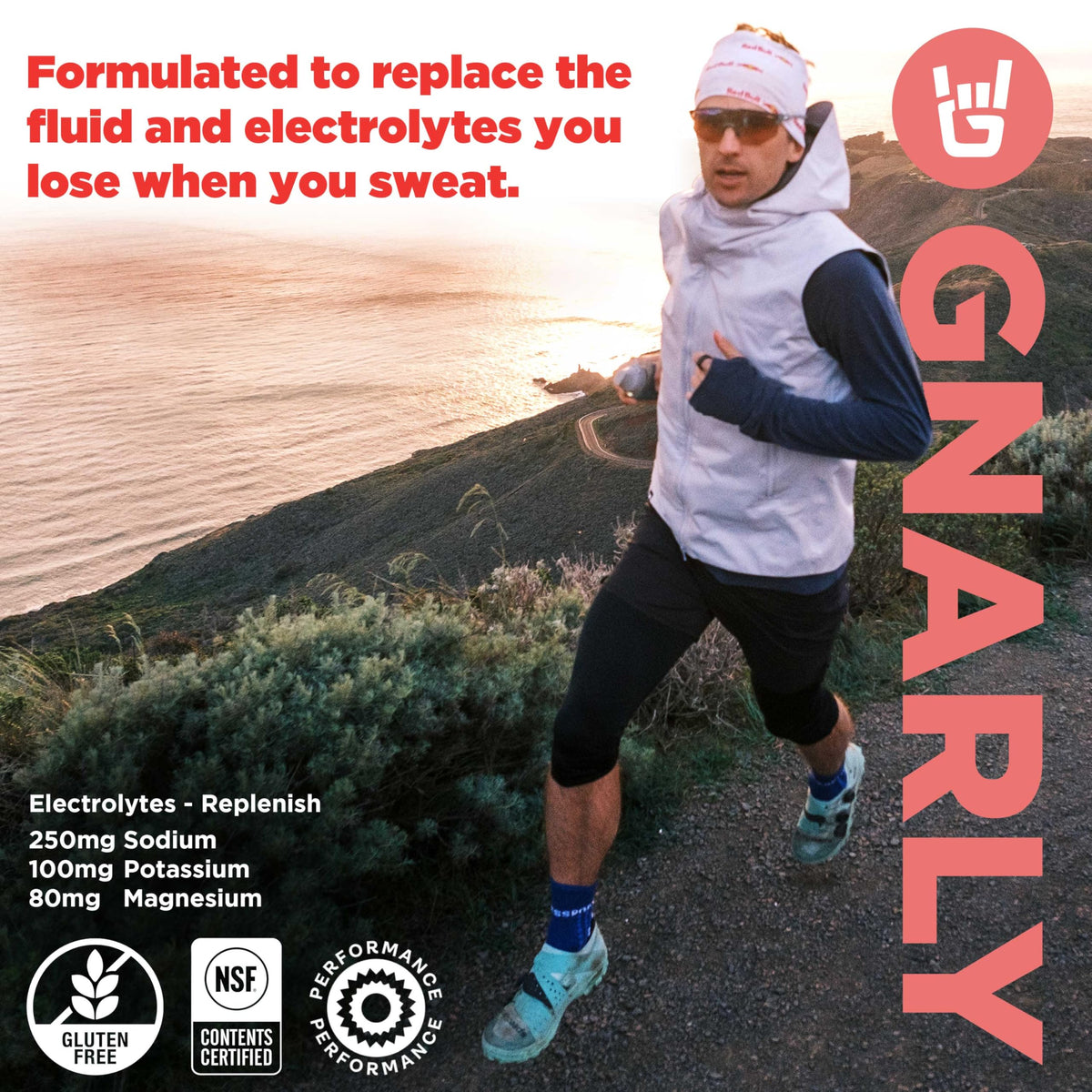 Gnarly Nutrition Hydrate Electrolyte Powder – Orange Pineapple Exercise Hydration Drink Mix – NSF Sport Certified – Electrolyte Solution, Performance & Recovery – Orange Pineapple, 14.10 oz