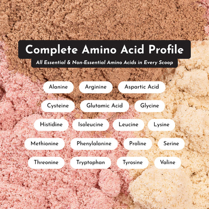 JUST INGREDIENTS Vanilla Protein Powder - Grass-Fed Whey Blend, Organic, Gluten Free, Dairy Free, Soy Free - 15 Servings, 22g Protein