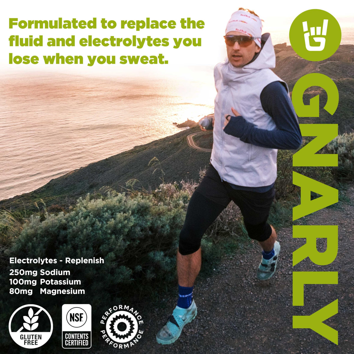 Gnarly Nutrition Hydrate Electrolyte Powder – Orange Pineapple Exercise Hydration Drink Mix – NSF Sport Certified – Electrolyte Solution, Performance & Recovery – Orange Pineapple, 14.10 oz