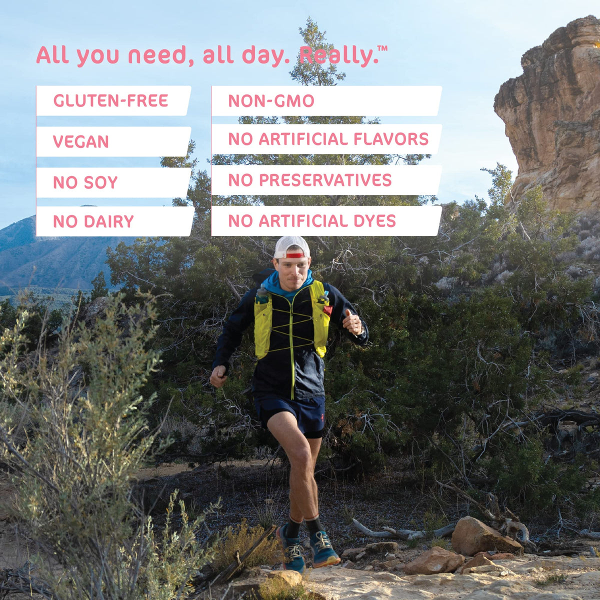 Tailwind Nutrition Endurance Fuel, Berry, 12 Servings