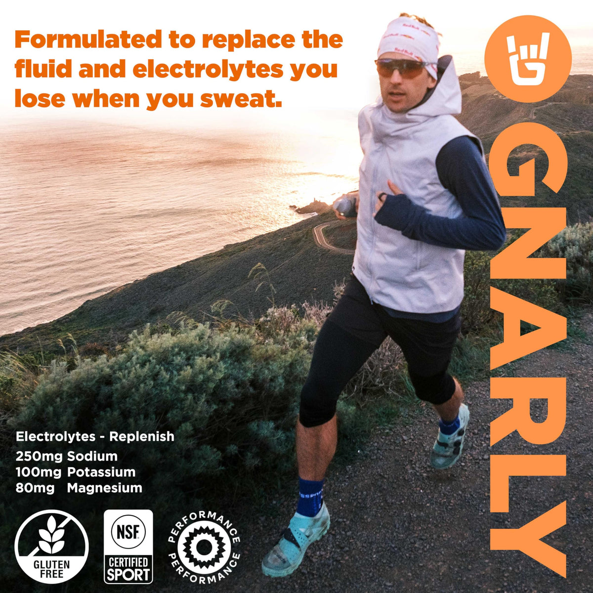 Gnarly Nutrition Hydrate Electrolyte Powder – Orange Pineapple Exercise Hydration Drink Mix – NSF Sport Certified – Electrolyte Solution, Performance & Recovery – Orange Pineapple, 14.10 oz