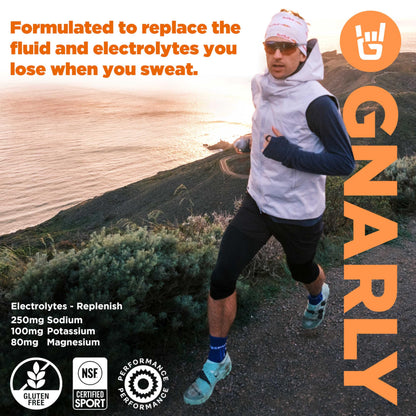 Gnarly Nutrition Hydrate Electrolyte Powder – Orange Pineapple Exercise Hydration Drink Mix – NSF Sport Certified – Electrolyte Solution, Performance & Recovery – Orange Pineapple, 14.10 oz