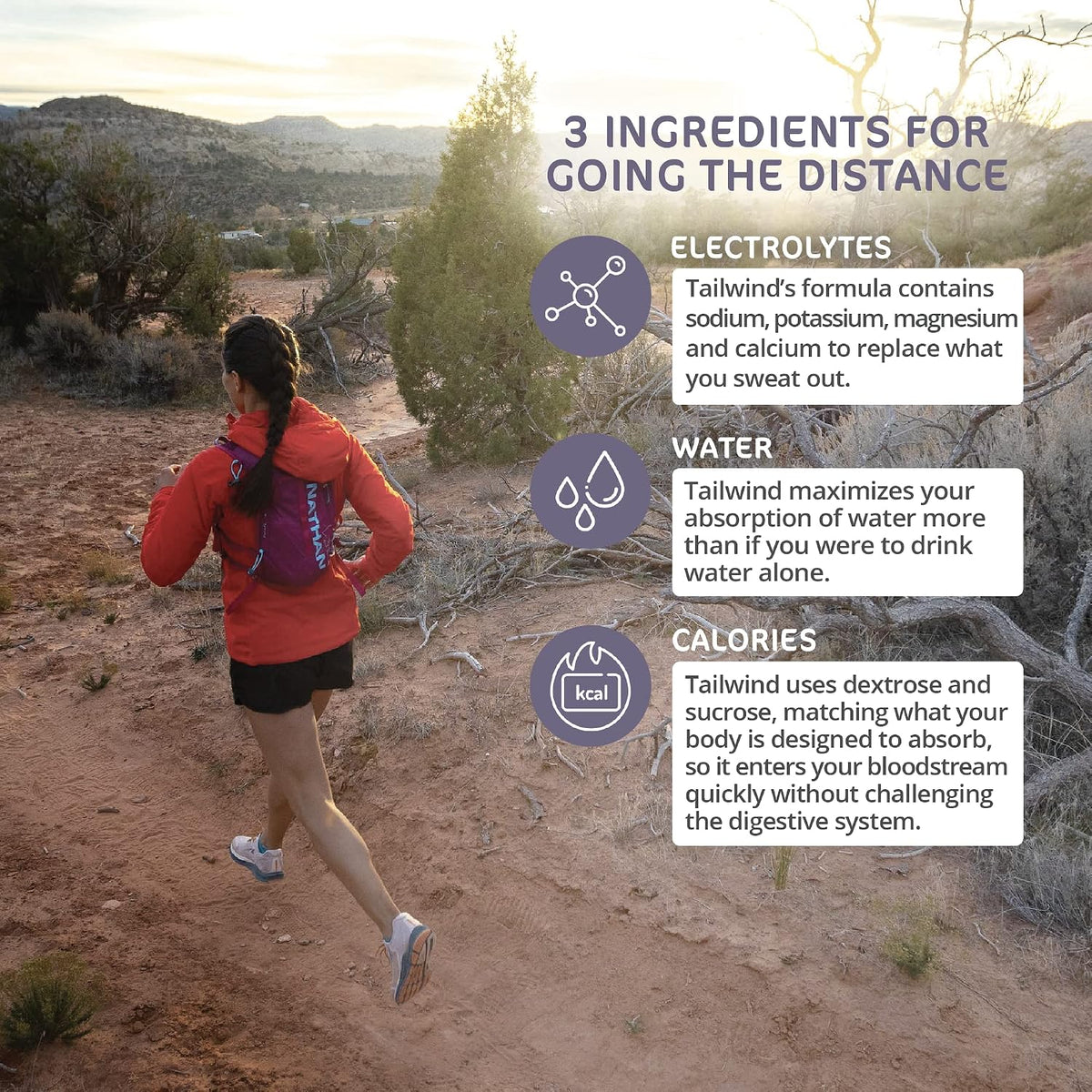 Tailwind Nutrition Endurance Fuel, Berry, 12 Servings